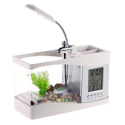 

Fish Tank