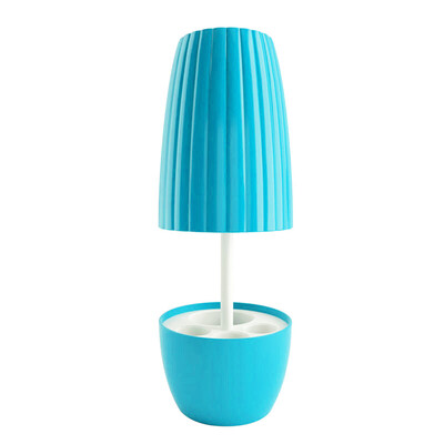 

класс Джени горшок хранения путешествия принадлежность зубной щетка путешествие окна чистка зубных паст, зубная щетка чашка Чашка мыть чашки зубной щетки коробки зеленый