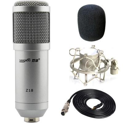 

Double promise Z18 condenser microphone recording microphone computer network K song YY voice microphone recording equipment recording studio dedicated silver