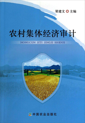 

农村集体经济审计