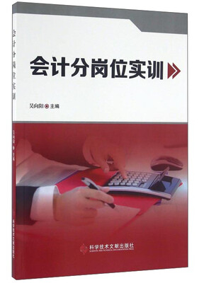 

会计分岗位实训