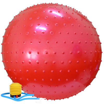 

Lover ENPEX 65cm Yoga Ball Thicker Explosion-proof Fitness Ball Purple