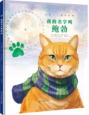

我的名字叫鲍勃