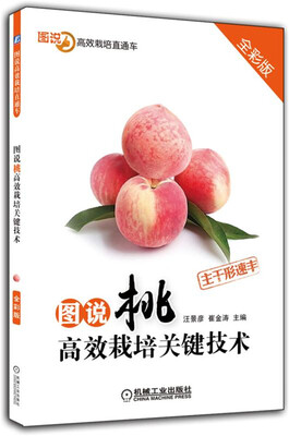 

图说桃高效栽培关键技术