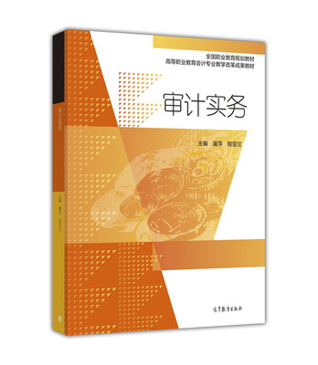

审计实务