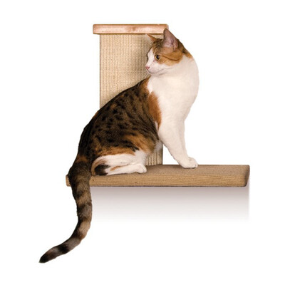 

США SmartCat электрические образовательные игрушки, чтобы развлечь кошку чеканки мыши чеканки кошки музыки моляров мелющих арестовал животное игрушку кошки 3702