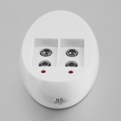 

Dual Slots Power Wall Charger for 9V Rechargeable Batteries
