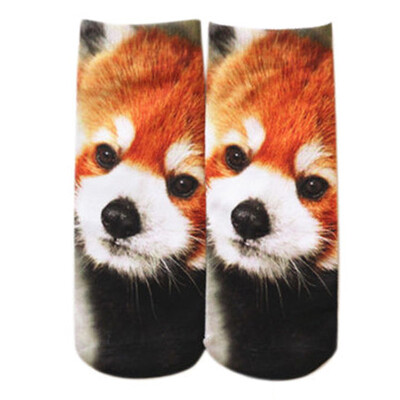 

Multi-Style 3D Printed Unisex Mens/Womens Harajuku Cute Low Cut Ankle Socks