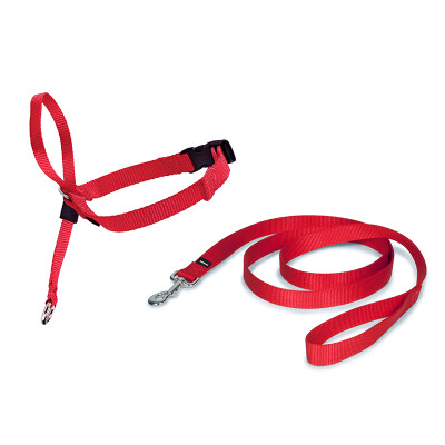 

PetSafe Easy Walk * Head Retractor Red Medium EW-HC--RD-17
