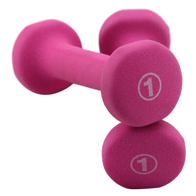 

PROIRON Environmental Dumbbells Zheng Duoyan Ladies Dumbbells Fitness Dumbbells