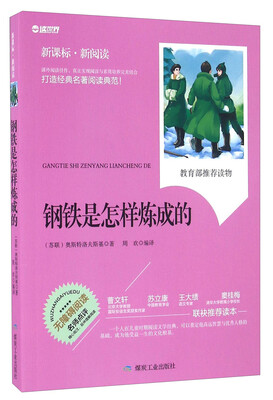 

钢铁是怎样炼成的无障碍阅读 新课标新阅读