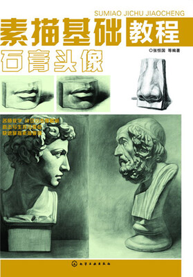 

素描基础教程. 石膏头像