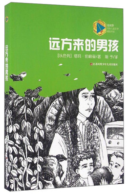 

远方来的男孩/蓝风筝国际儿童文学精品书系