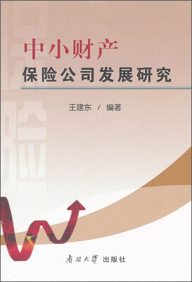 

中小财产保险公司发展研究