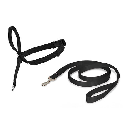 

PetSafe Easy Walk Dog Harness Leash
