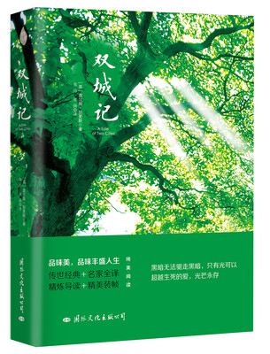 

双城记
