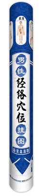 

男性经络穴位挂图（筒装高清版）