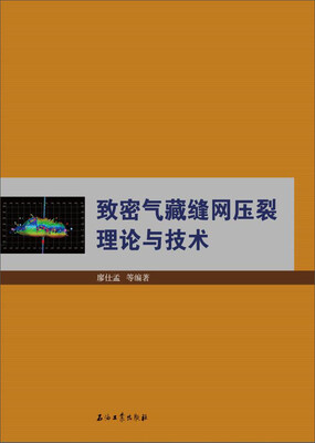 

致密气藏缝网压裂理论与技术