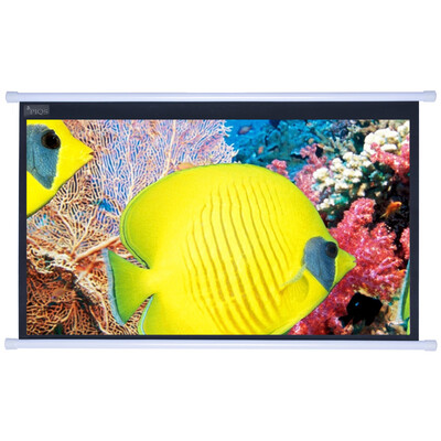 

PIQS projection 60-inch roll screen 43 ratio