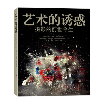 

艺术的诱惑：摄影的前世今生