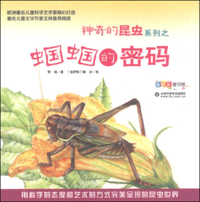 

神奇的昆虫系列：蝈蝈的密码