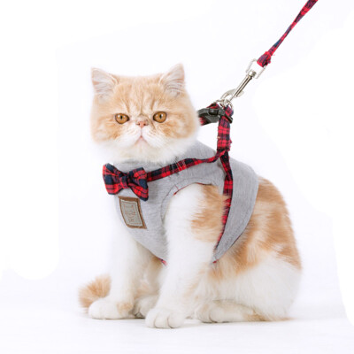 

Wok kitty hoopet cat rope cat cat trailing cat rope cat traction rope suit chest strap pet cat collar