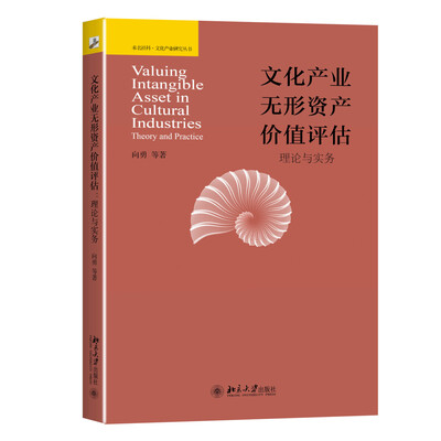 

文化产业无形资产价值评估:理论与实务