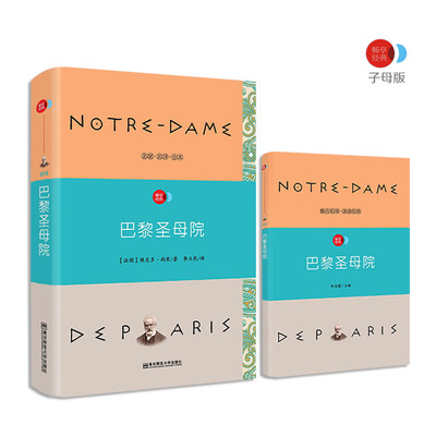 

巴黎圣母院 语文新课标必读名著 /畅享经典·子母版