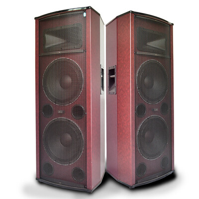 

Двойной Connaught SA6502 12-дюймовый профессиональный студийный звук с высокой мощностью на открытом воздухе.