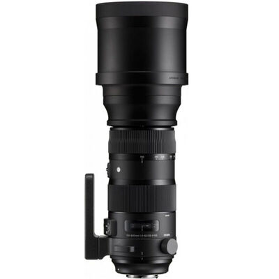 

Sigma (SIGMA) 150-600mm F5-6.3 DG OS HSM | Спорт полнокадровой ультра-телефото зум-объектив выстрел лотос охотничьего (Nikon байонет объектив)