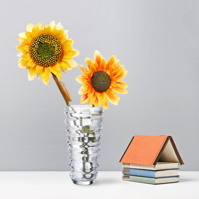 

Кришна NC-8575 Стеклянная ваза Conch Colorful Vase 25,5 см цветная случайная
