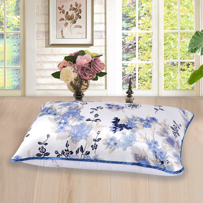 

Супермаркет] [Jingdong Тайху снег шелк текстиль подстилка подушка шелкопряда шелк 100% означает, что односторонняя Подушка 48 * 74