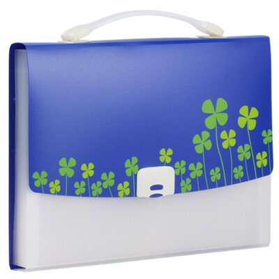 

Прибыль DC4000 A4 Spring рифма пакет орган приема пакета голубой бумаги