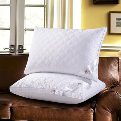 

Ying Xin pillow textile cotton plush pillow three-dimensional grid washable high-elasticity soft pillow 1 Pack 48 74cm