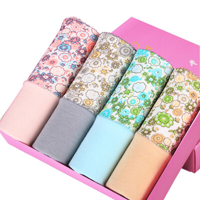 

Playboy 5681 Women&39s Underwear Cotton Women&39s Triangle Underwear Waist Low Angle Underwear Women 4pcs Multicolor XXL
