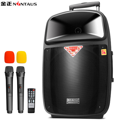 

NINTAUS N93 12-дюймовый громкоговоритель Dance Dance Bluetooth Наружный динамик Портативный громкоговоритель высокой мощности с беспроводным микрофоном