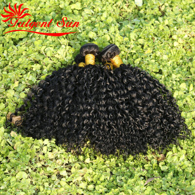 

Good Quality 7A Unprocessed Brazilian Kinky Curly Virgin Human Hair 3Bundles Weave Top Selling Virgin Brazilian Kinky Curly Hair