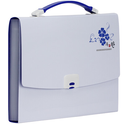 

KINARY KINARY DC4032 13 grid A4 Korean style bag package file package color random