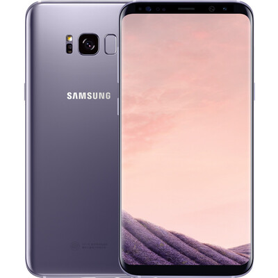 

Samsung Galaxy S8 (SM-G9508)