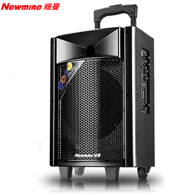 

Newman 6800A Square Dance Audio Outdoor Rod Stereo Bluetooth Portable 8 inch