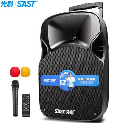 

SAST D11 outdoor 12-inch high-power bass square dance audio mobile stage outdoor Bluetooth rod speaker amplifier