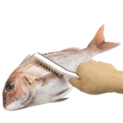 

Jingdong supermarket] pearl life stainless steel scraper scale practical fish scale shrimp imports fish scale brush C-6338