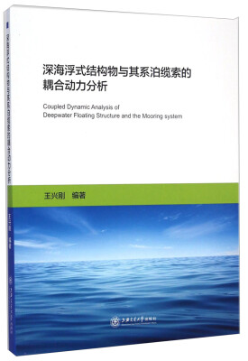 

深海浮式结构物与其系泊缆索的耦合动力分析