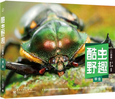 

酷虫野趣：甲虫（口袋版）