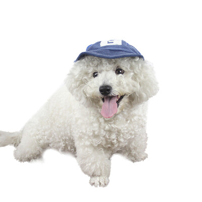 

Джи Зай животное собака бейсболка шапка Teddy VIP вельвет дышащей сетки крышка коричневый оттенок M