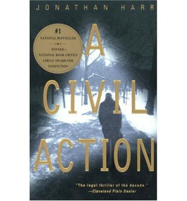 

A Civil Action