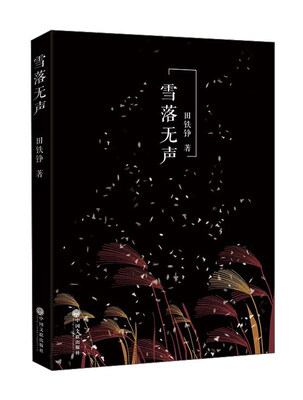 

雪落无声