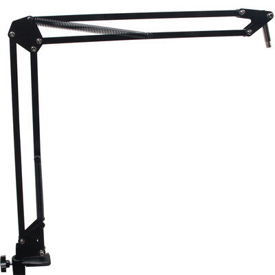 

iSK ASD-20 Professional Microphone Cantilever Mount