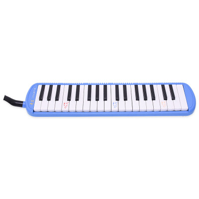

Qimei QM37A-5 37 key An Zhe blue organ