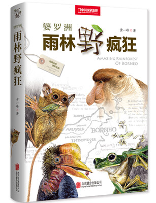 

婆罗洲雨林野疯狂
